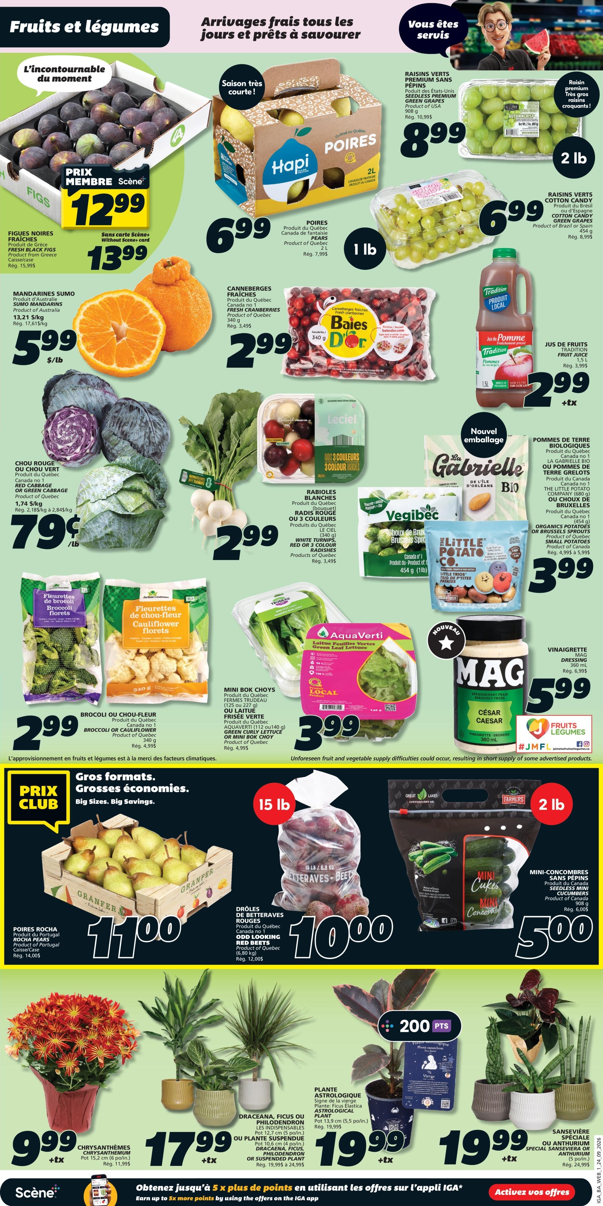 Circulaire IGA Coop Nouveau-Brunswick — page 3, du 24 au 30 septembre 2026