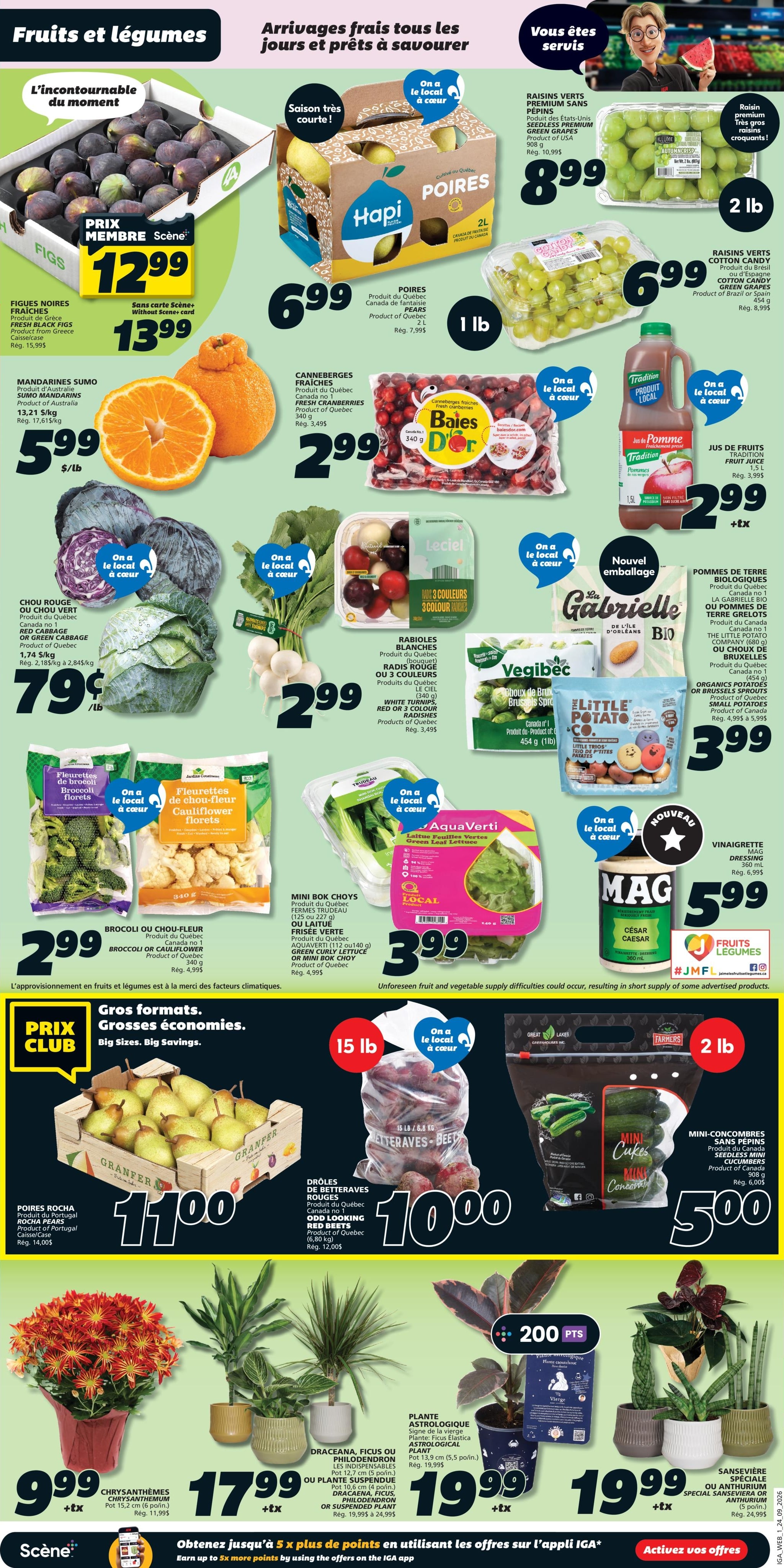 Circulaire Iga Epicerie — page 3, du 24 au 30 septembre 2026